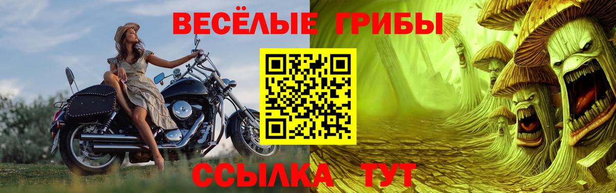 Псилоцибиновые грибы Psilocybe  Вход с VPN  Верхняя Салда 